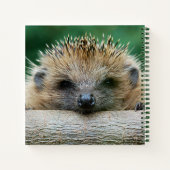 Niedliche Kleintiere | Igel Lächeln Notizblock (Rückseite)