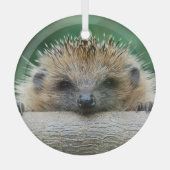 Niedliche Kleintiere | Igel Lächeln Ornament Aus Glas (Vorderseite)