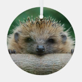 Niedliche Kleintiere | Igel Lächeln Ornament Aus Glas (Rückseite)
