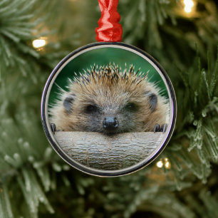 Niedliche Kleintiere Igel Lächeln Ornament Aus Metall