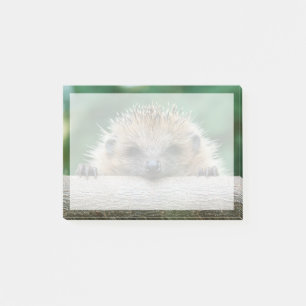Niedliche Kleintiere Igel Lächeln Post-it Klebezettel