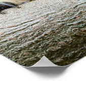 Niedliche Kleintiere | Igel Lächeln Poster (Ecke)