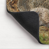 Niedliche Kleintiere | IGEL Mousepad (Ecke)