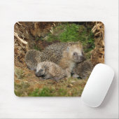 Niedliche Kleintiere | IGEL Mousepad (Mit Mouse)