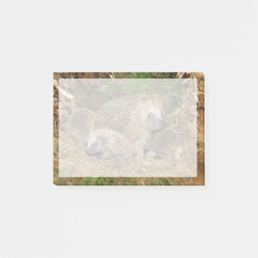 Niedliche Kleintiere | IGEL Post-it Klebezettel (Vorderseite)