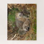 Niedliche Kleintiere | IGEL Puzzle (Vertikal)