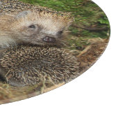 Niedliche Kleintiere | IGEL Schneidebrett (Ecke)