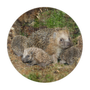 Niedliche Kleintiere IGEL Schneidebrett