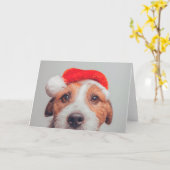 Niedliche Kleintiere | Jack Russell Dog Santa Clau Karte (Gelbe Blume)