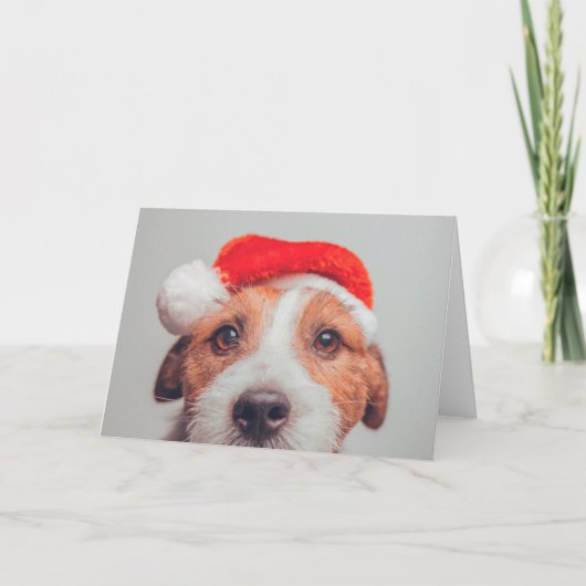 Niedliche Kleintiere | Jack Russell Dog Santa Clau Karte (Vorderseite)