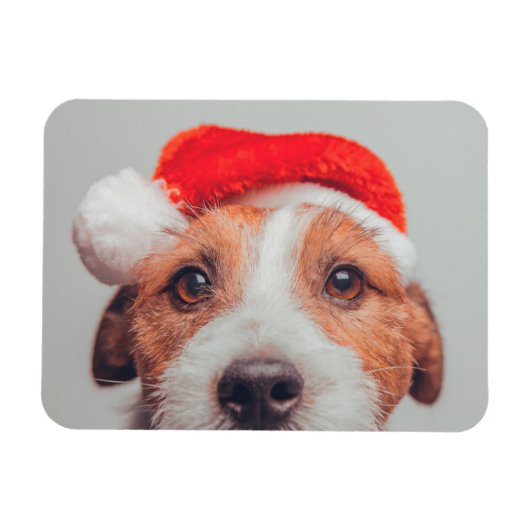 Niedliche Kleintiere | Jack Russell Dog Santa Clau Magnet (Horizontal)