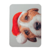 Niedliche Kleintiere | Jack Russell Dog Santa Clau Magnet (Vertikal)
