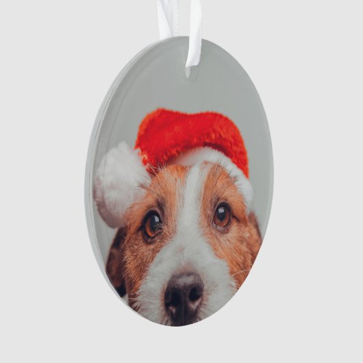 Niedliche Kleintiere | Jack Russell Dog Santa Clau Ornament (Vorderseite)