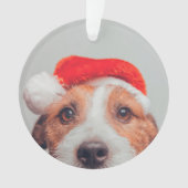 Niedliche Kleintiere | Jack Russell Dog Santa Clau Ornament (Vorderseite)