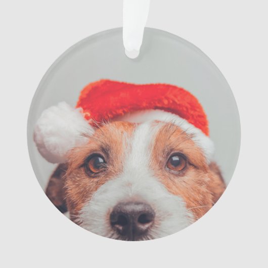 Niedliche Kleintiere | Jack Russell Dog Santa Clau Ornament (Vorderseite)