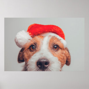 Niedliche Kleintiere   Jack Russell Dog Santa Clau Poster