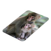 Niedliche Kleintiere | Japanische Affen Magnet (Linke Seite)
