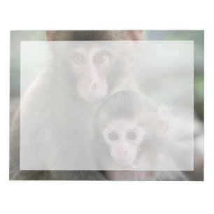 Niedliche Kleintiere   Japanische Affen Notizblock