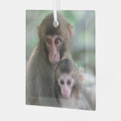 Niedliche Kleintiere | Japanische Affen Ornament Aus Glas (Vorderseite links)