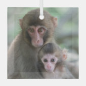 Niedliche Kleintiere | Japanische Affen Ornament Aus Glas (Vorderseite)