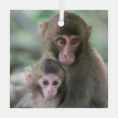 Niedliche Kleintiere | Japanische Affen Ornament Aus Glas (Rückseite)