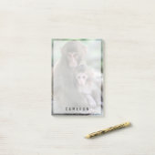 Niedliche Kleintiere | Japanische Affen Post-it Klebezettel (Auf Schreibtisch)