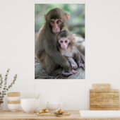 Niedliche Kleintiere | Japanische Affen Poster (Küche)