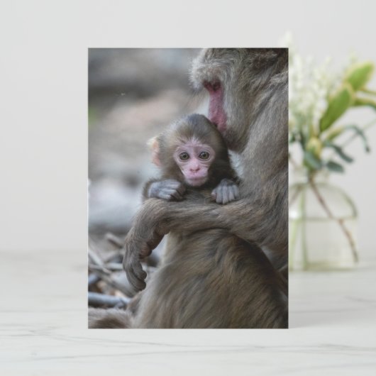 Niedliche Kleintiere | Japanischer Affe & Baby Dankeskarte (Stehend Vorderseite)