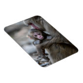 Niedliche Kleintiere | Japanischer Affe & Baby Magnet (Rechte Seite)