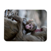 Niedliche Kleintiere | Japanischer Affe & Baby Magnet (Horizontal)