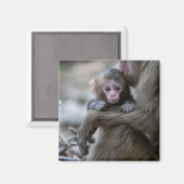Niedliche Kleintiere | Japanischer Affe & Baby Magnet (Vorderseite/Rückseite)