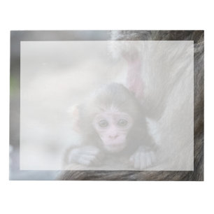 Niedliche Kleintiere   Japanischer Affe & Baby Notizblock