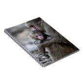 Niedliche Kleintiere | Japanischer Affe & Baby Notizblock (Rechte Seite)
