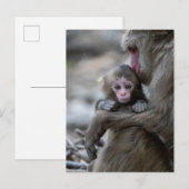 Niedliche Kleintiere | Japanischer Affe & Baby Postkarte (Vorne/Hinten)