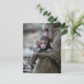 Niedliche Kleintiere | Japanischer Affe & Baby Postkarte (Stehend Vorderseite)