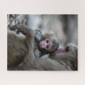Niedliche Kleintiere | Japanischer Affe & Baby Puzzle (Horizontal)
