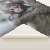 Niedliche Kleintiere | Japanischer Affe & Baby Sherpadecke (3/4)