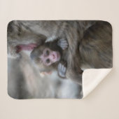 Niedliche Kleintiere | Japanischer Affe & Baby Sherpadecke (Vorderseite (Horizontal))