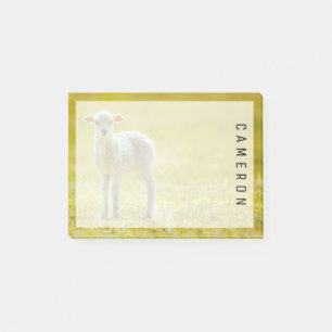 Niedliche Kleintiere   Jungschaf Post-it Klebezettel