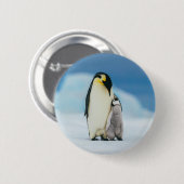 Niedliche Kleintiere | Kaiser Penguin Chick Button (Vorne & Hinten)