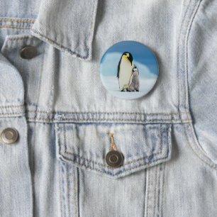 Niedliche Kleintiere   Kaiser Penguin Chick Button