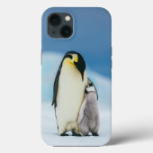 Niedliche Kleintiere | Kaiser Penguin Chick Case-Mate iPhone Hülle (Rückseite)