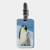 Niedliche Kleintiere | Kaiser Penguin Chick Gepäckanhänger (Vorderseite vertikal)