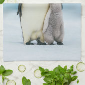 Niedliche Kleintiere | Kaiser Penguin Chick Geschirrtuch (Gefaltet)