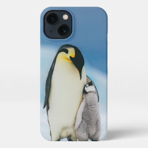 Niedliche Kleintiere Kaiser Penguin Chick iPhone 13 Hülle