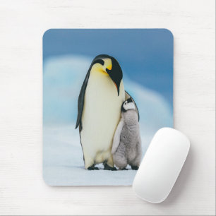Niedliche Kleintiere   Kaiser Penguin Chick Mousepad