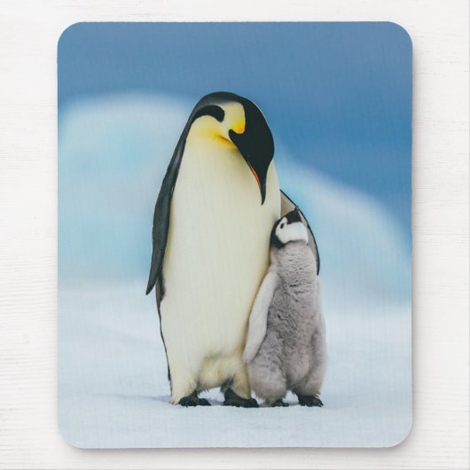 Niedliche Kleintiere | Kaiser Penguin Chick Mousepad (Vorne)