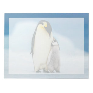 Niedliche Kleintiere Kaiser Penguin Chick Notizblock