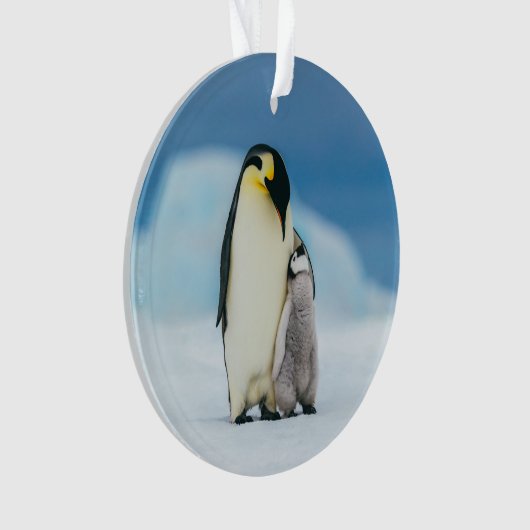 Niedliche Kleintiere | Kaiser Penguin Chick Ornament (Vorderseite)