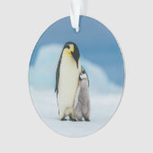 Niedliche Kleintiere | Kaiser Penguin Chick Ornament (Vorderseite)